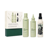 Aveda Pure Abundance & Abundant Blowout